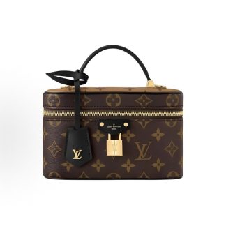 LOUIS VUITTON Vanity CHAIN POUCH Printed Zipper Leather Tote Bag Brown